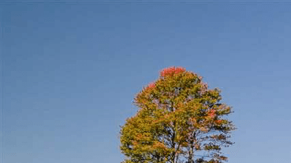 nine patch image part0