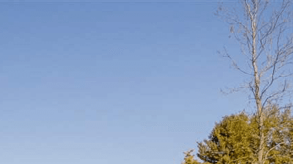 nine patch image part2