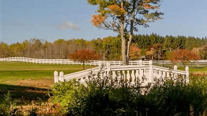 nine patch image part3